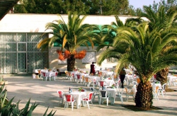 летнее кафе